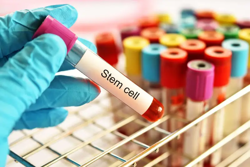 Stem Cell Banking: What You Need to Know