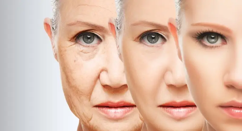 Stem Cells and Anti-Aging: Fact or Fiction?
