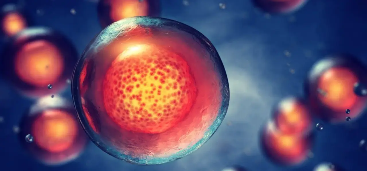 Recent developments in stem cell treatment in the liver