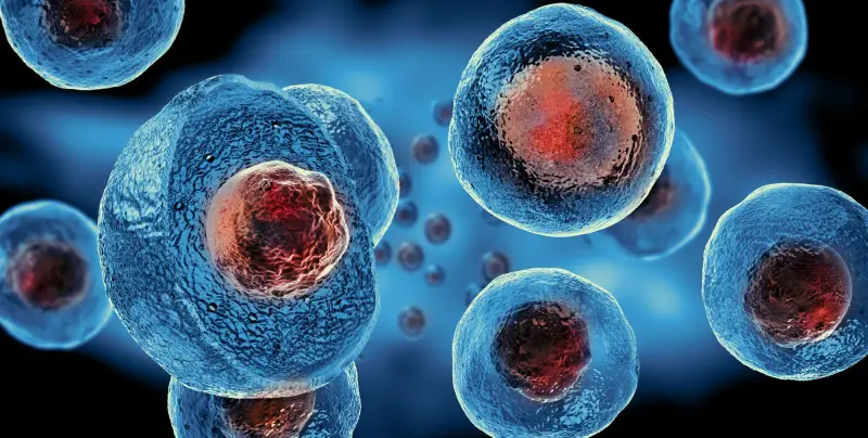 The Global Landscape of Stem Cell Therapy