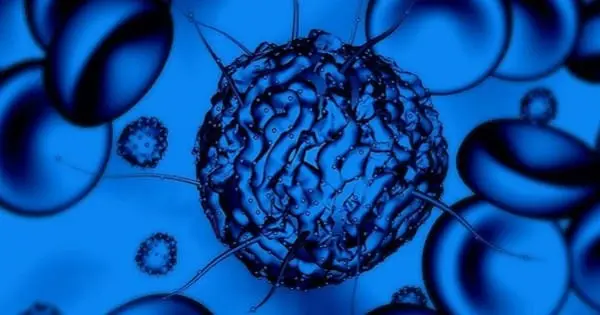 Adult Stem Cell Advocates Push for Treatments
