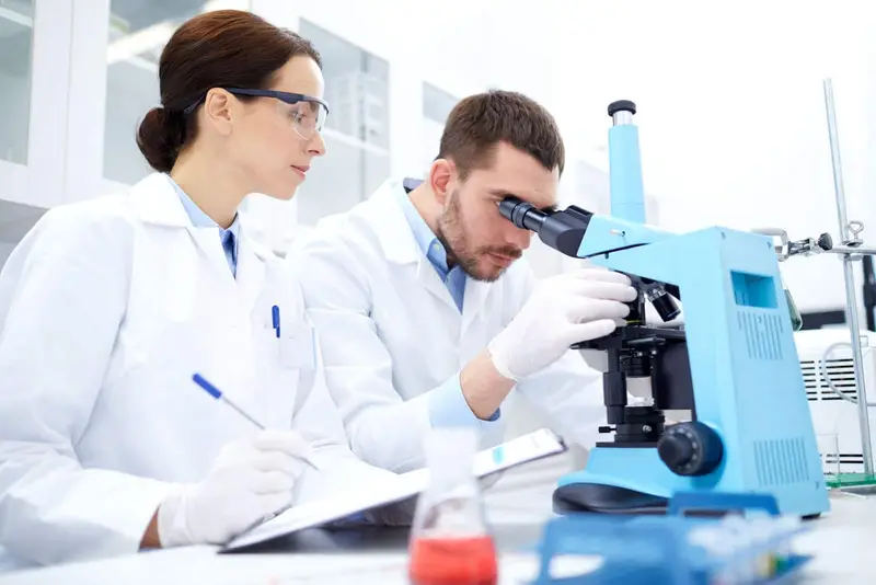 Stem Cell Technologies: The Future of Regenerative Medicine