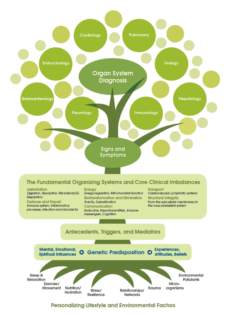 Functional medicine tree diagramm