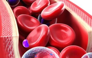 blood-cells-and-stem-cells