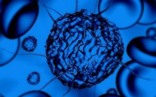 stem-cell-research-treatment