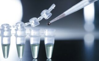 High potency adult stem cells being prepared in a laboratory