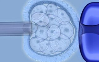 Stem cell therapy - Embryonic