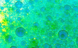 stem cell therapy