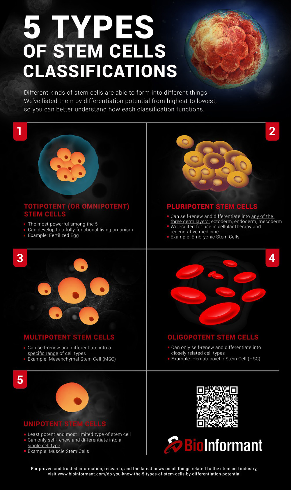 potential application of stem cell