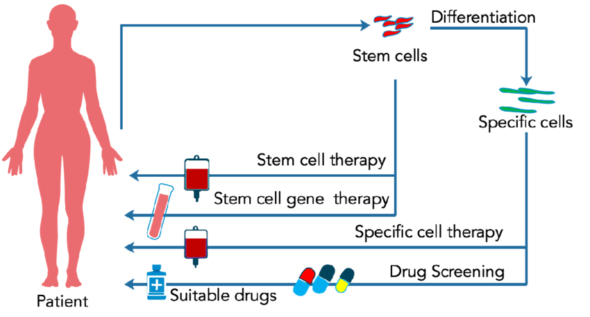 different areas of medicine