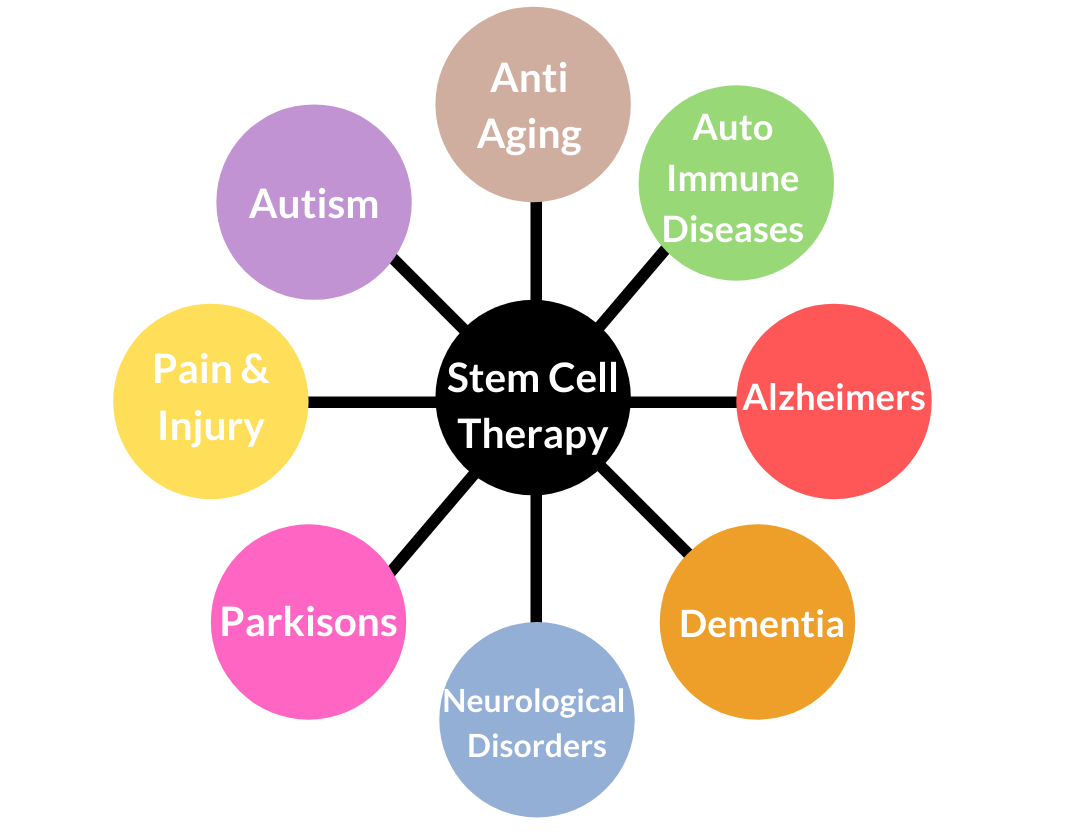 A chart showing the potential applications of stem cell therapy in treating various diseases