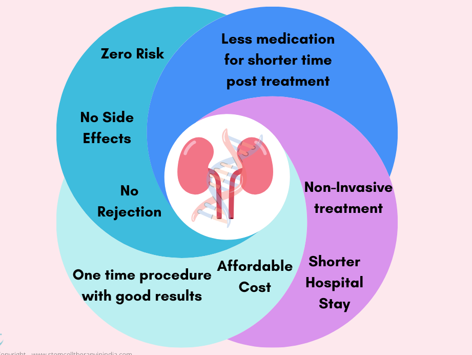 A chart showing the potential benefits of stem cell therapy in kidney treatment