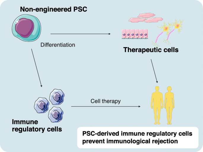 stem cell rejection