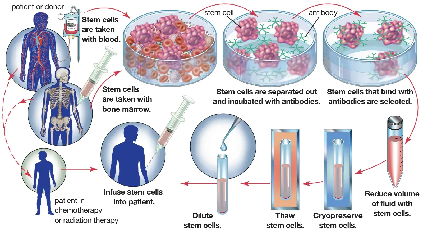 Process of integretion