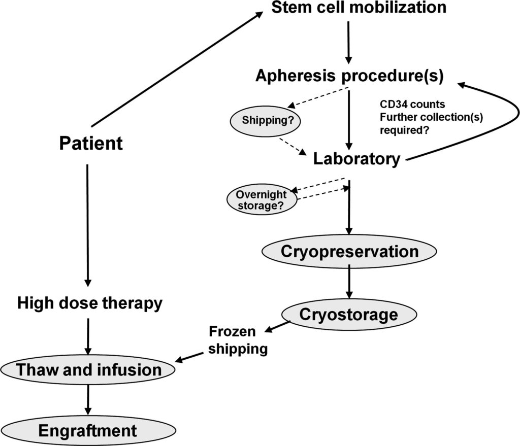 A flowchart illustrating the process of harvesting, processing, and injecting stem cells.