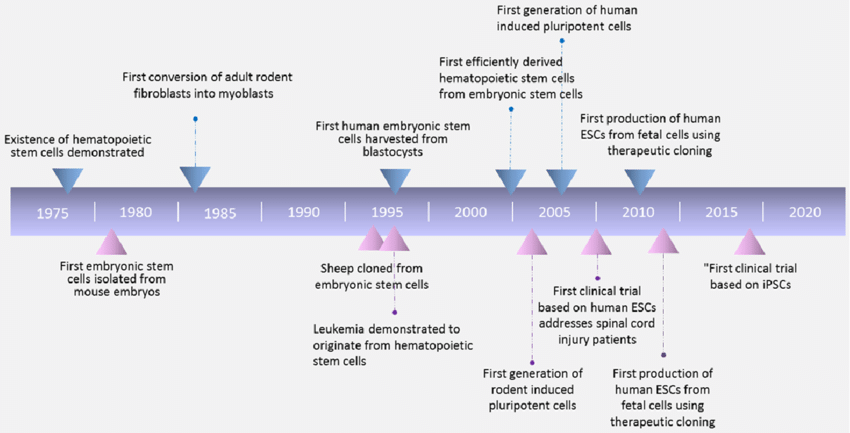 Stem cell research