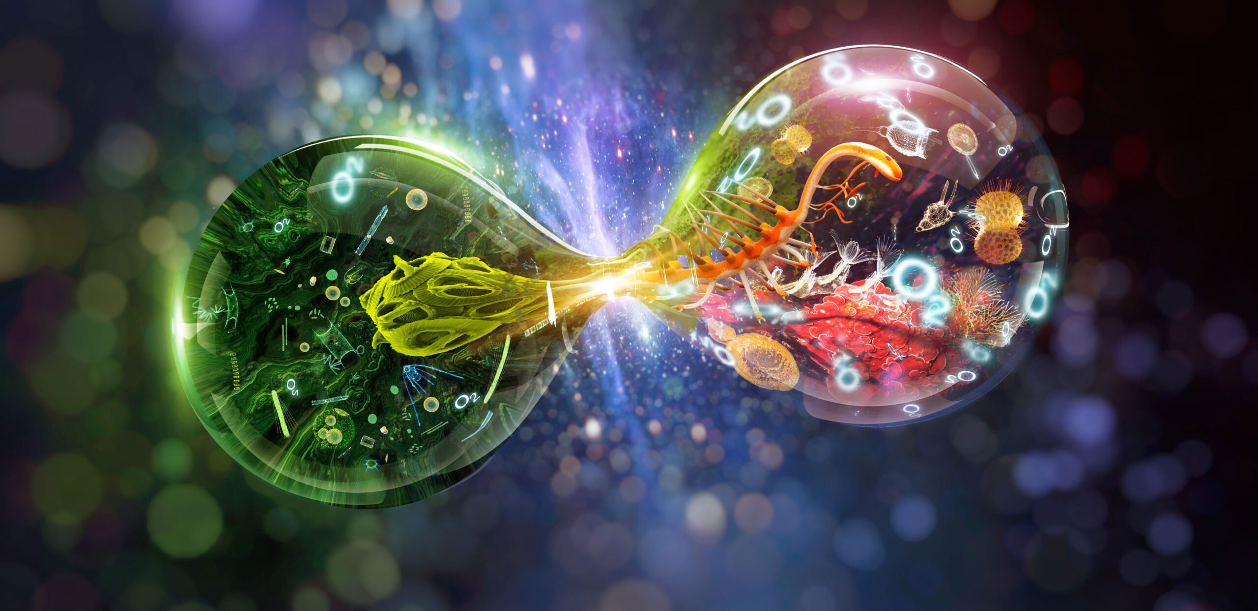 A graphic illustration showing the process of stem cell differentiation