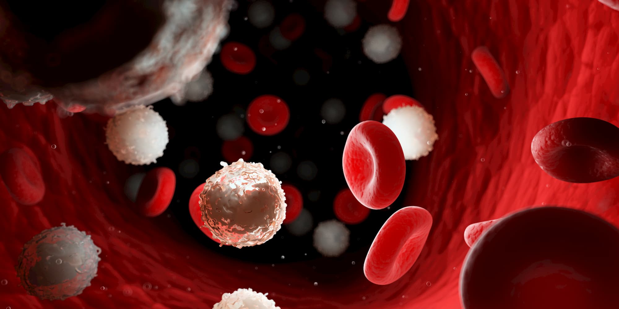 A micrograph showing stem cells transforming into heart muscle cells