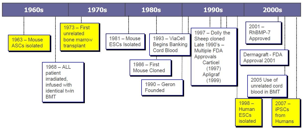 A timeline showcasing major milestones in stem cell research