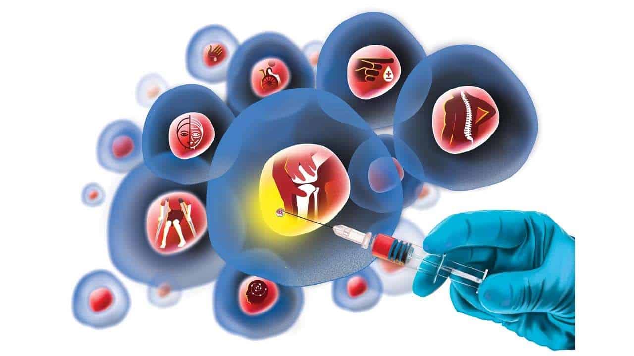 Role of stem cell