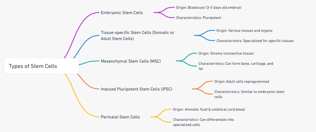 Different typres of stem cell