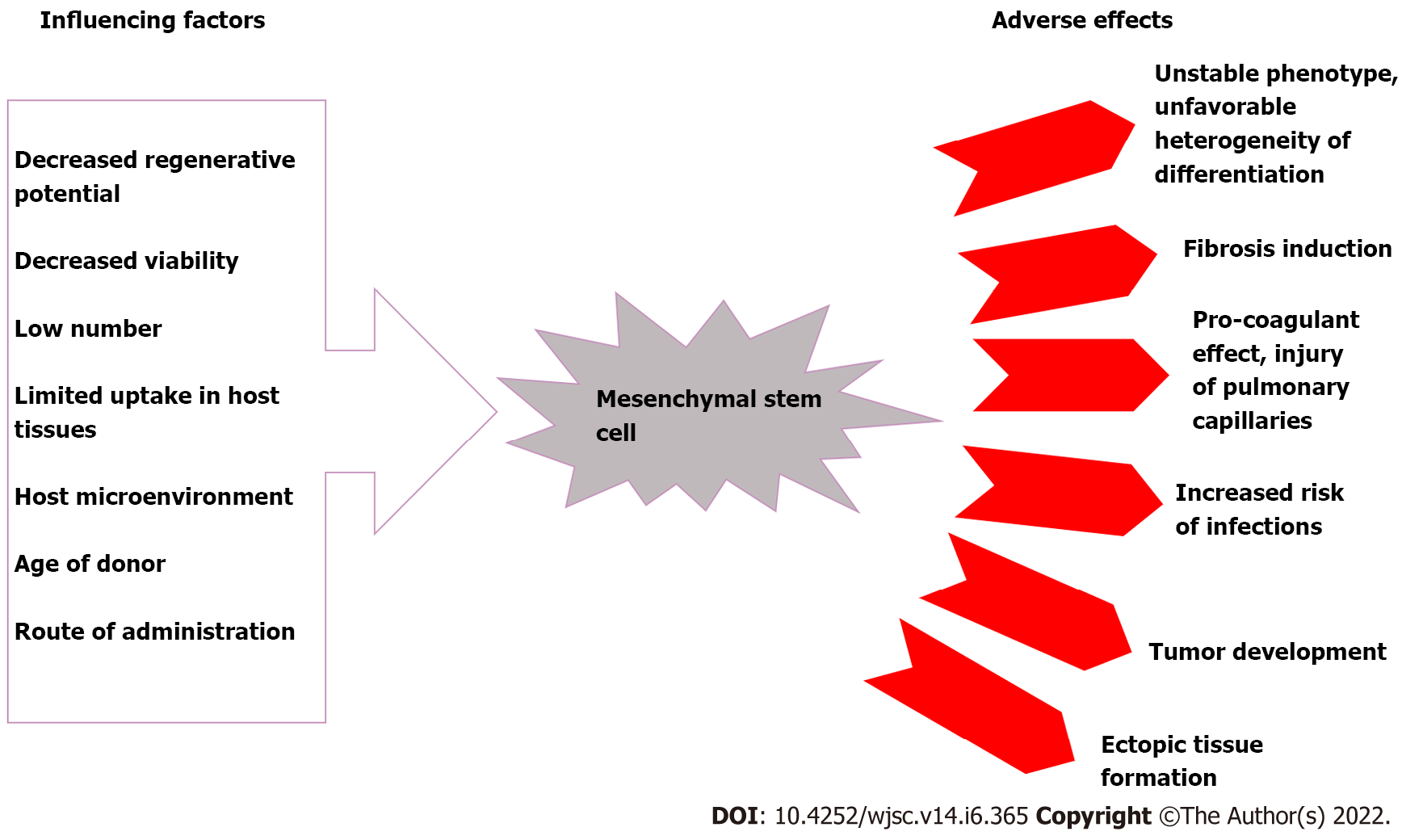 A bar chart showing the influence of cultural, ethical, and legal factors on stem cell therapy acceptance