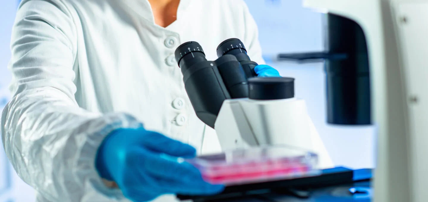 Laboratory setup for growing hair follicles using stem cells.