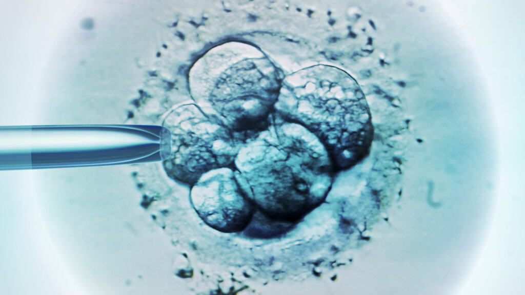 A visual representation of an embryonic stem cell