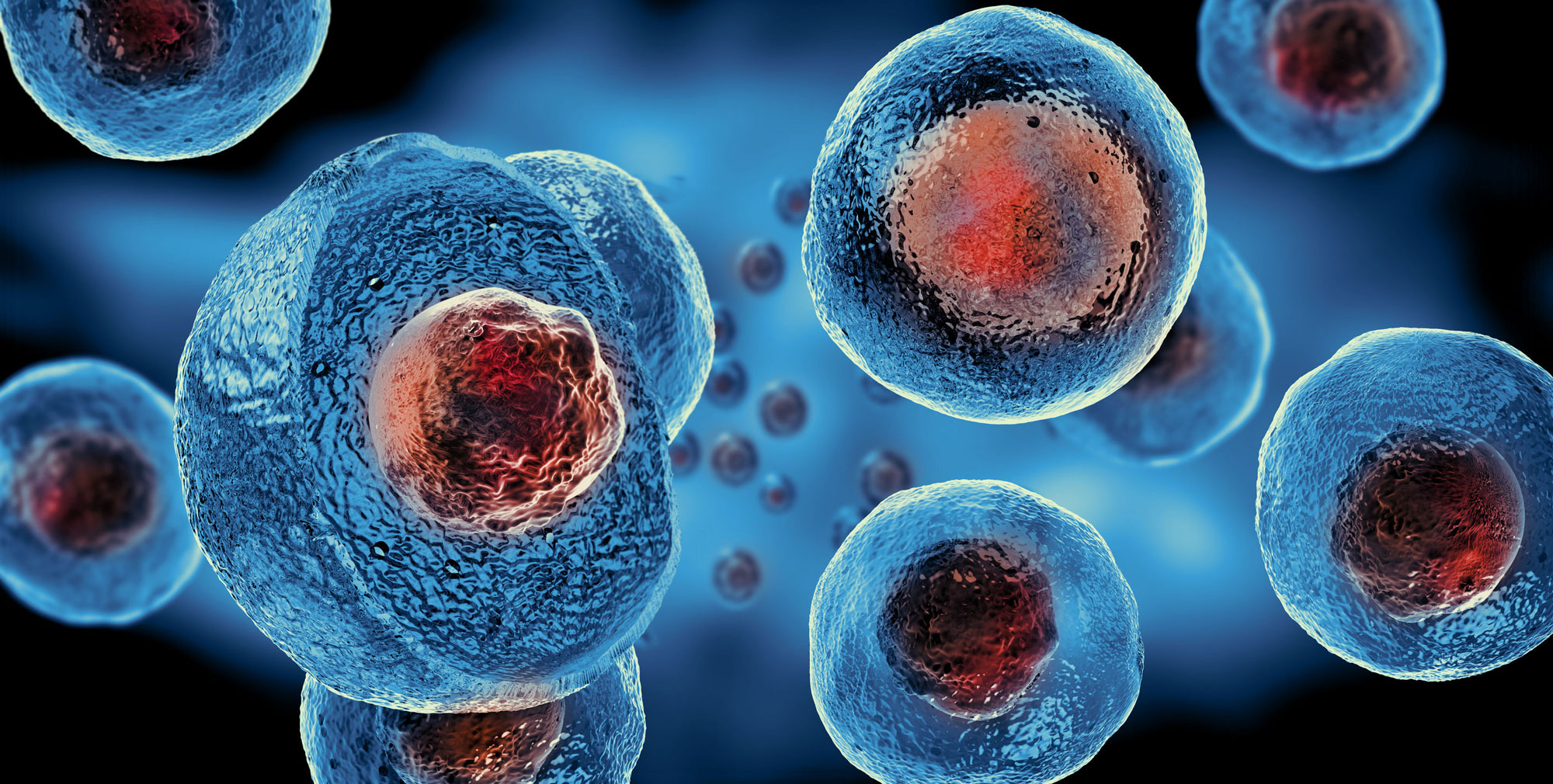 Understanding the Process of Stem Cell Therapy