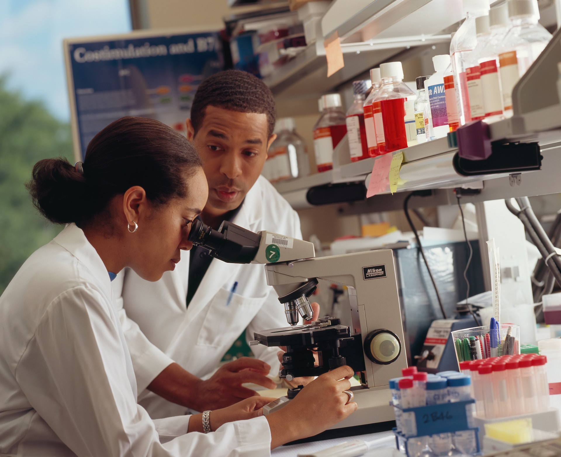 scientist examining stem cells under a microscope.